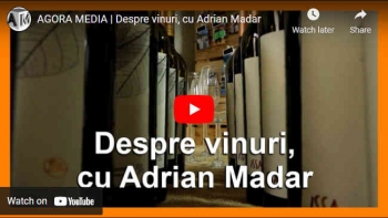 Despre vinuri, cu Adrian Madar